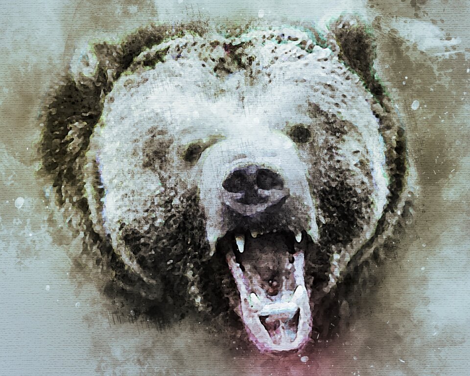 Nature wildlife predator