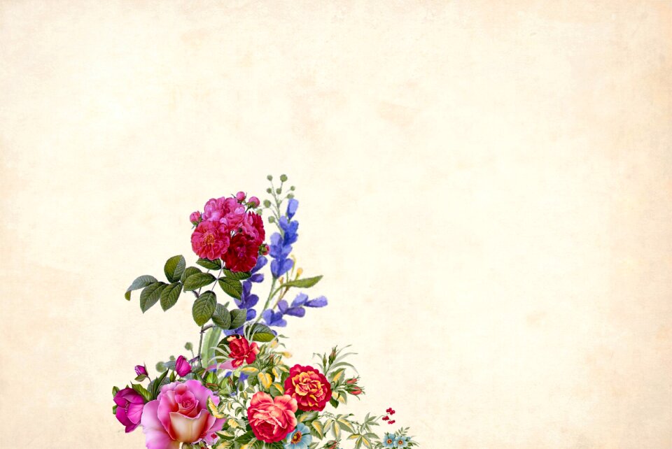 Border garden frame vintage