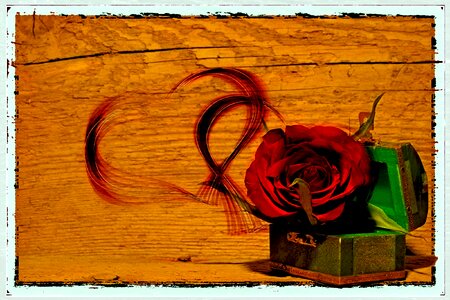 Rose love heart flower