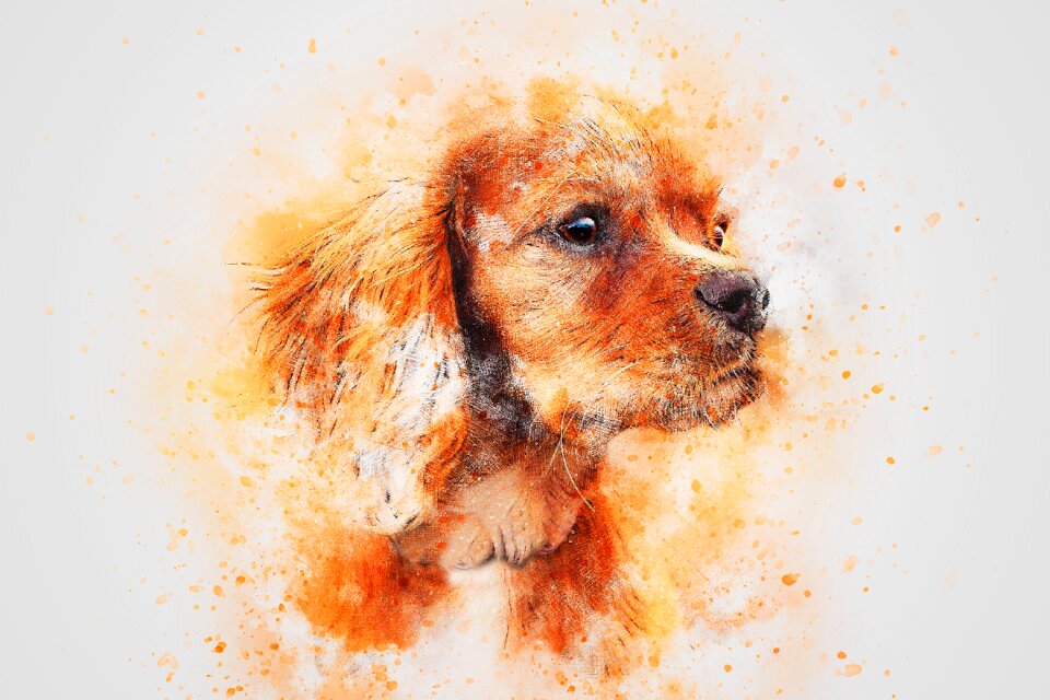 Animal watercolor vintage