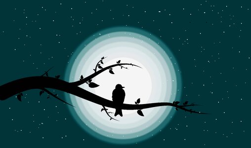 Moon leaf Free illustrations