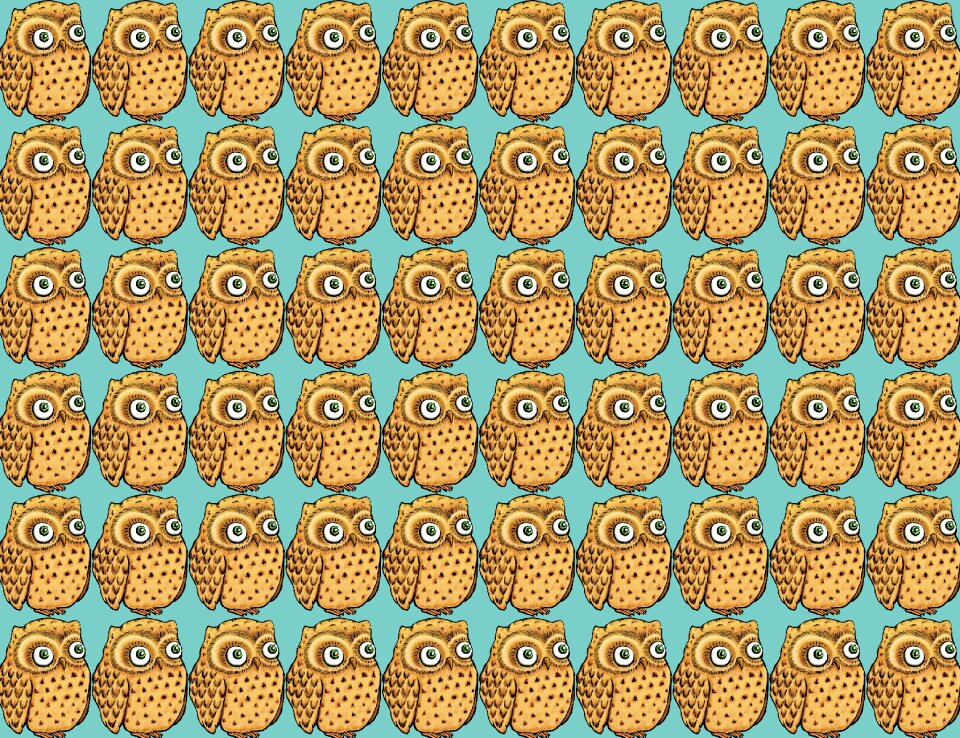 Owl design owlet drawing
