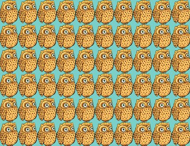 Owl design owlet drawing