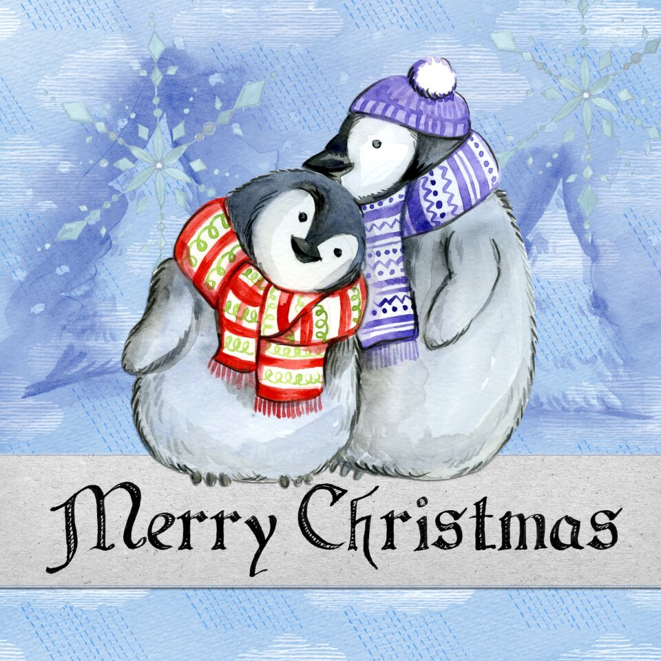 Card winter snow