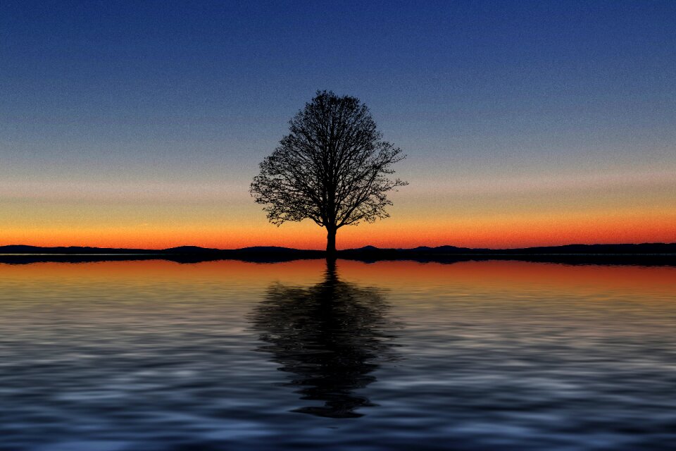 Water sunset movement