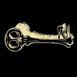 Horror skull Free illustrations