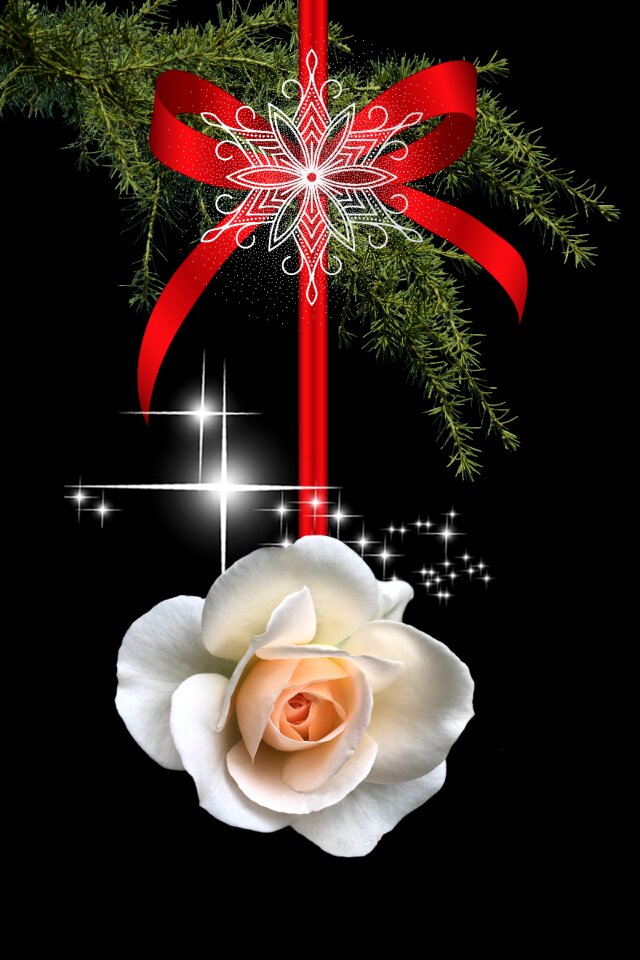 Xmas advent seasonal