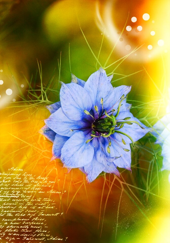Lichtspiel greeting card background