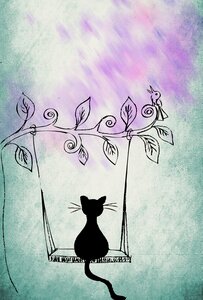Kitten animal world sweet