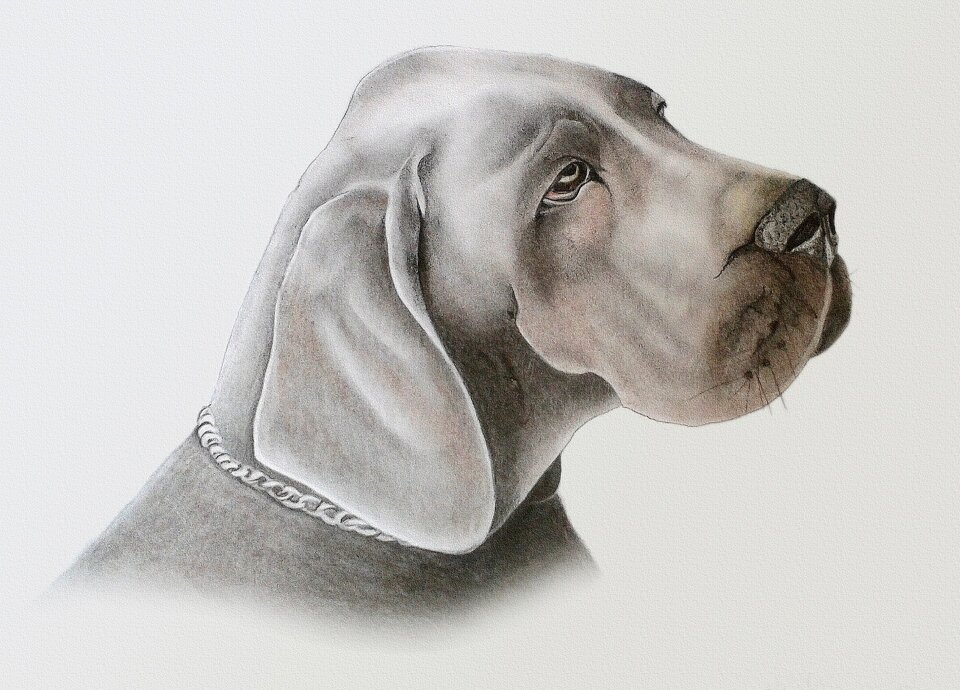 Pastel paint animal