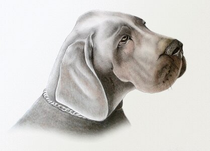 Pastel paint animal