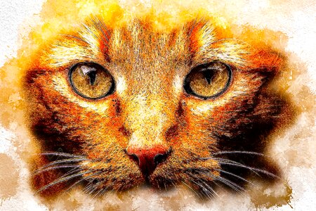 Art watercolor vintage