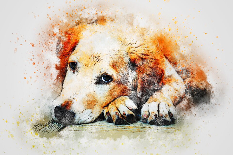 Animal watercolor vintage