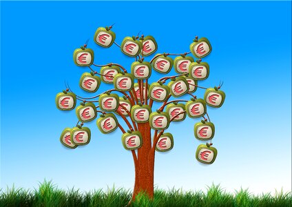 Tree apple monitor