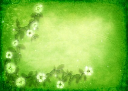 Floral glowing bright
