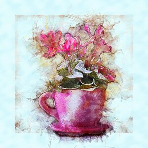 Plant flower flowerpot