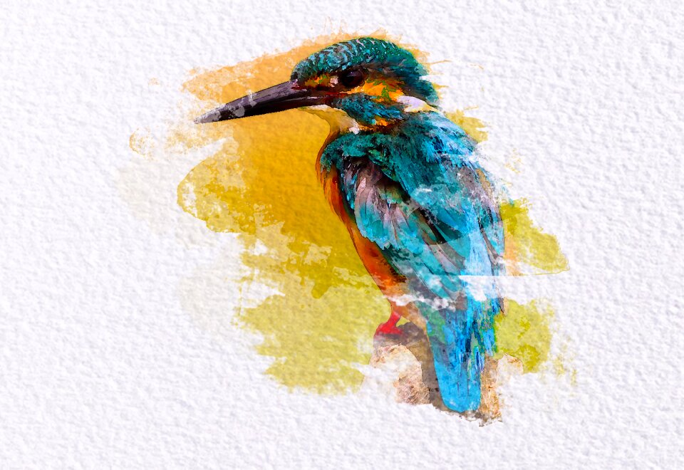 Color watercolor kingfisher