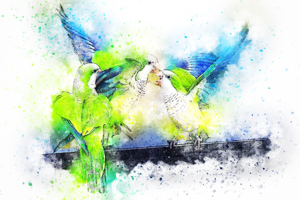 Feathers watercolor animal