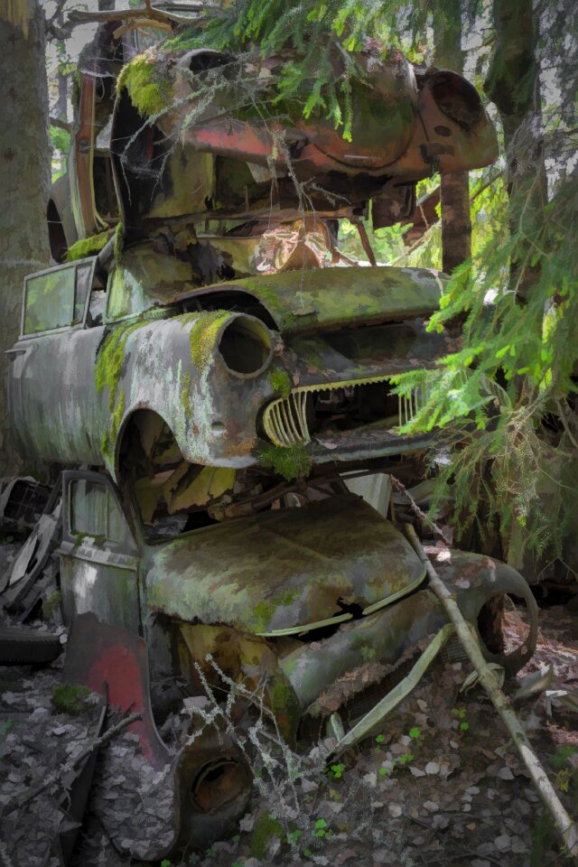 Vehicle automobile rust
