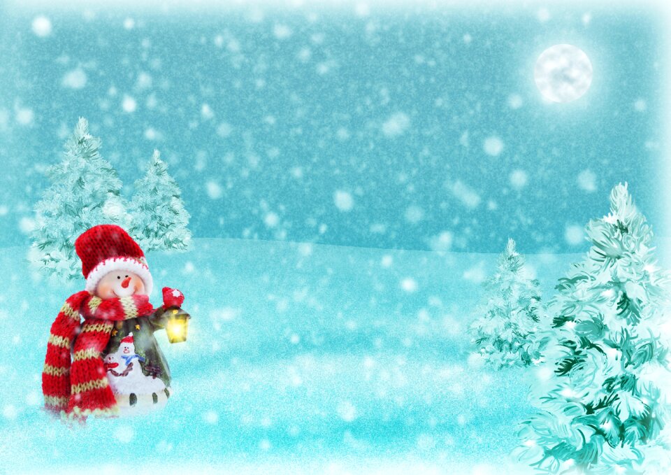 Snow landscape christmas firs
