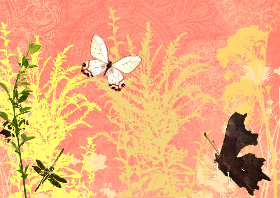Scrapbooking crafts orange art