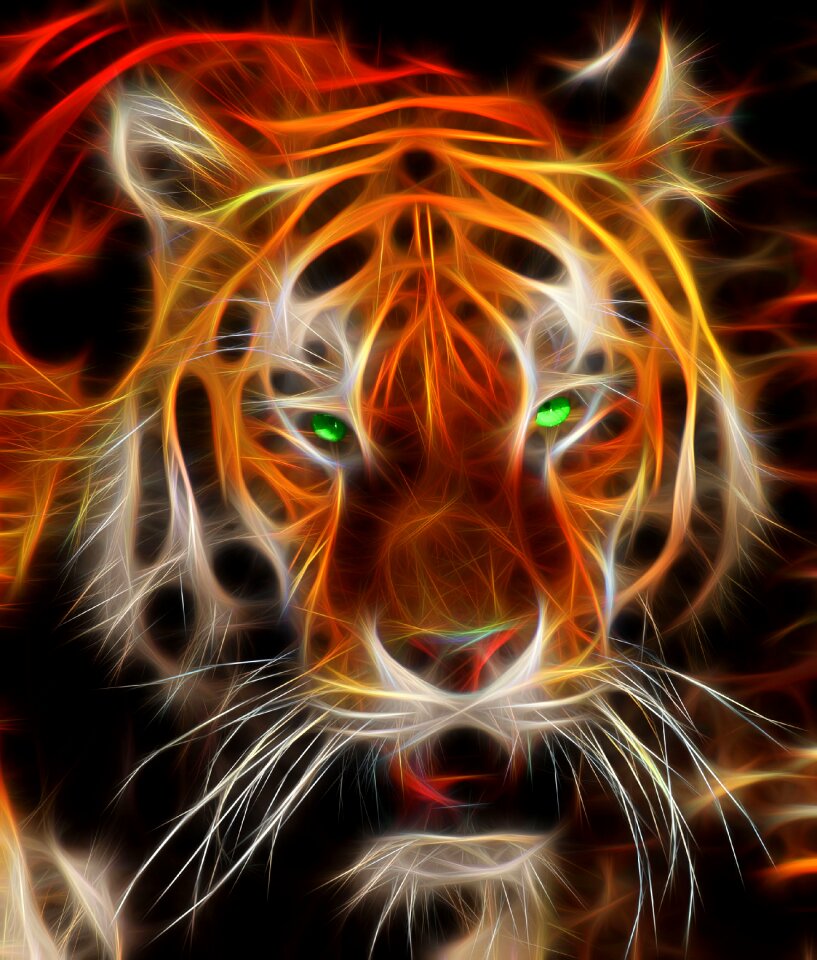 Feline animals Free illustrations