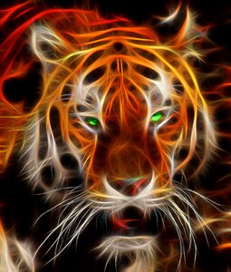 Feline animals Free illustrations