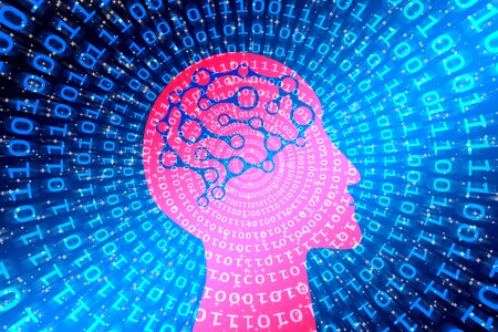 Brain progress digitization