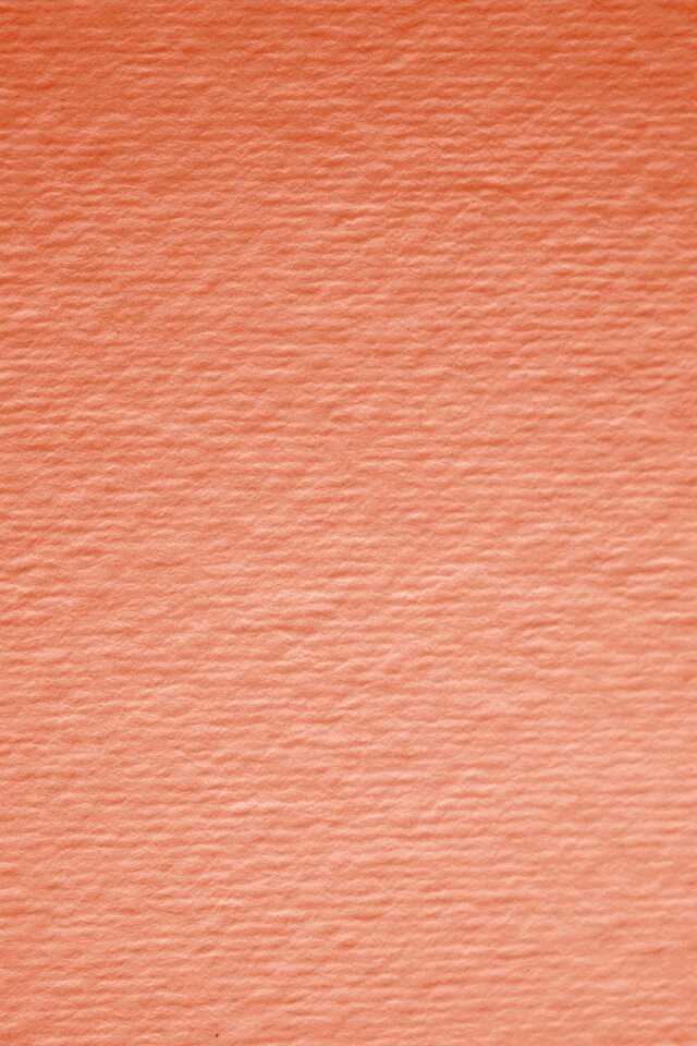 Grunge old blank