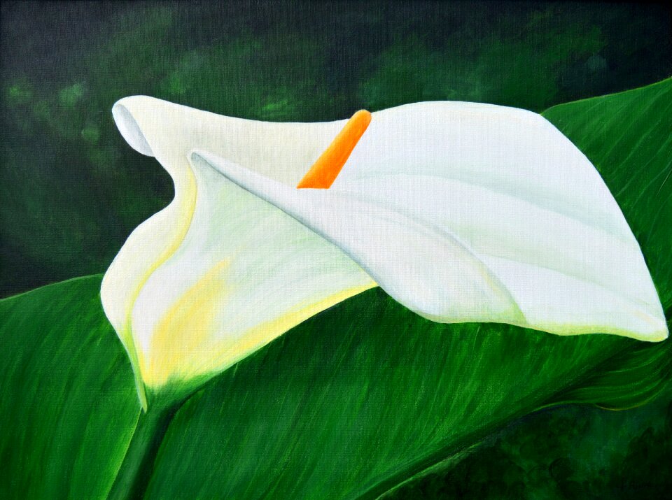 Art image on canvas painted