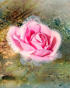 Pink water art