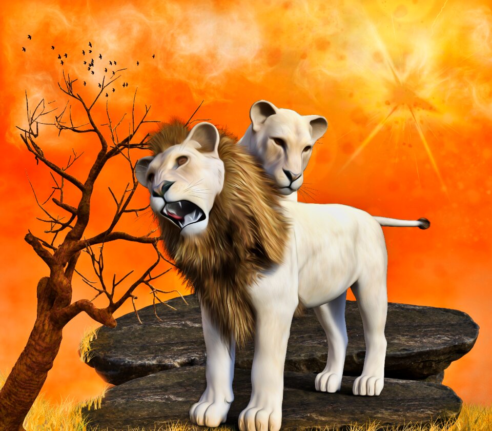 Predator africa animal