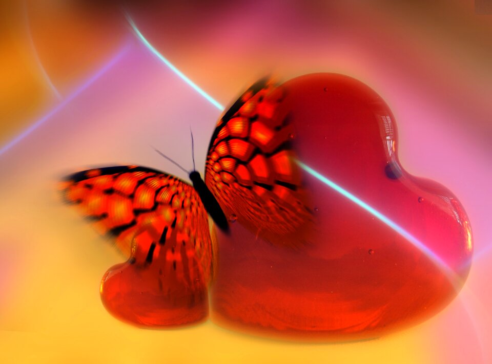 Abstract butterfly relationship