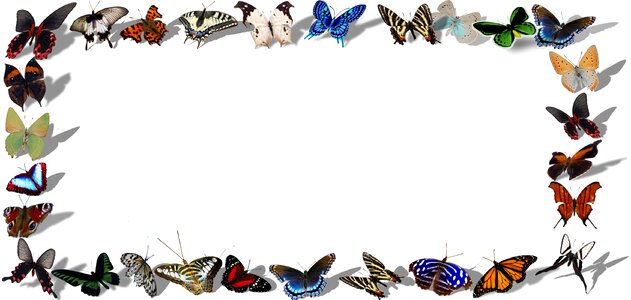 Design sign border