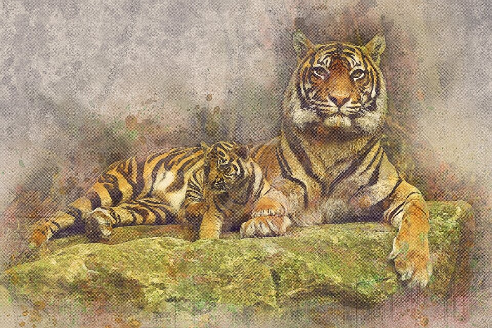 Feline exotic posing