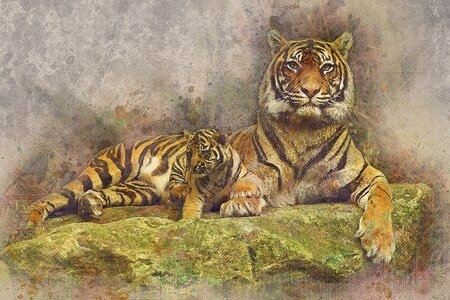 Feline exotic posing