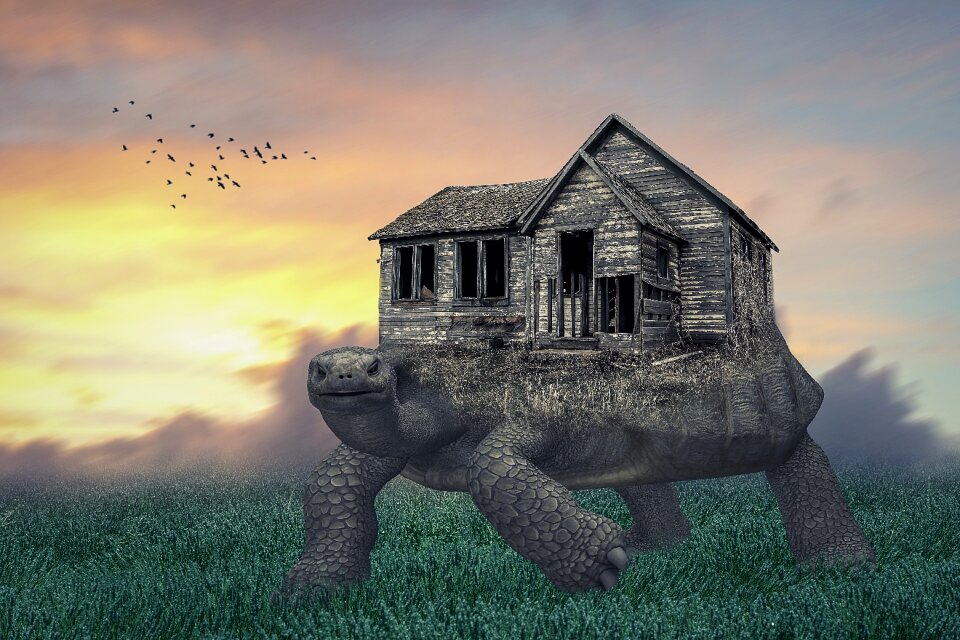 Field old house sky