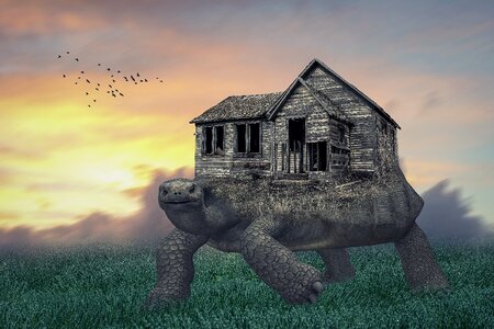 Field old house sky