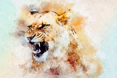 Art watercolor vintage