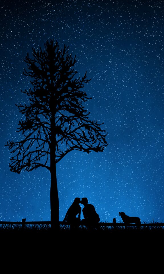 Dog night starry sky