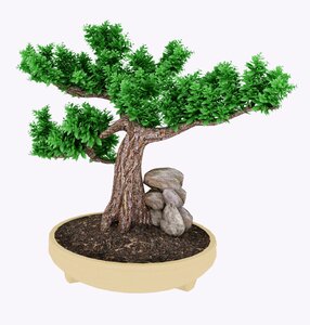 Leaves green 3d-model