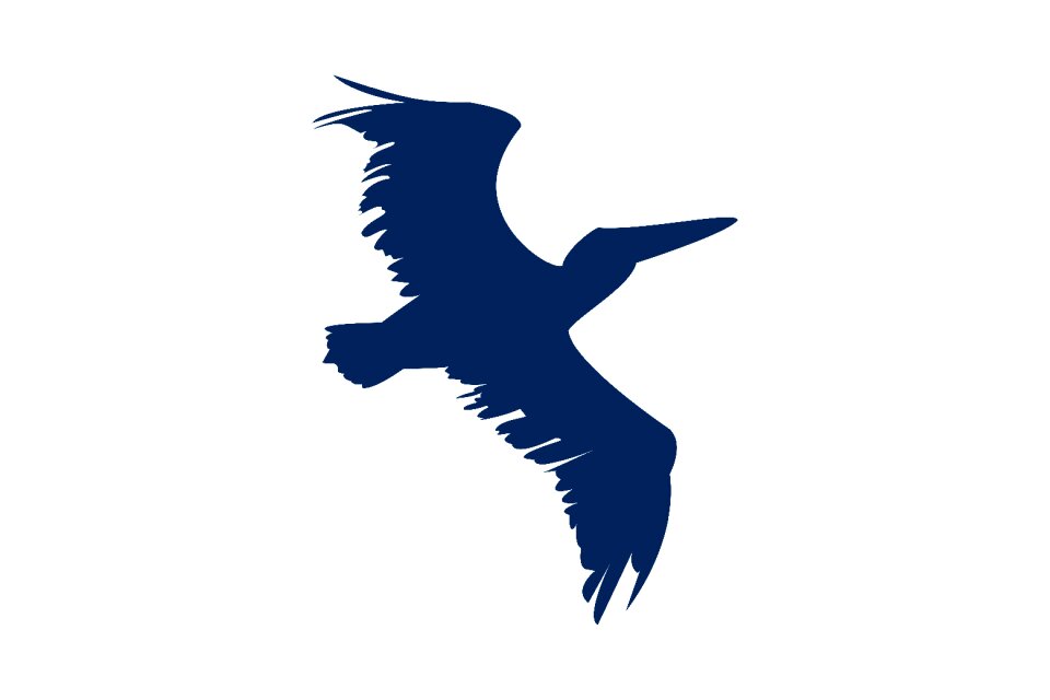 Silhouette wing nature