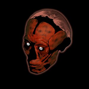 Human head face