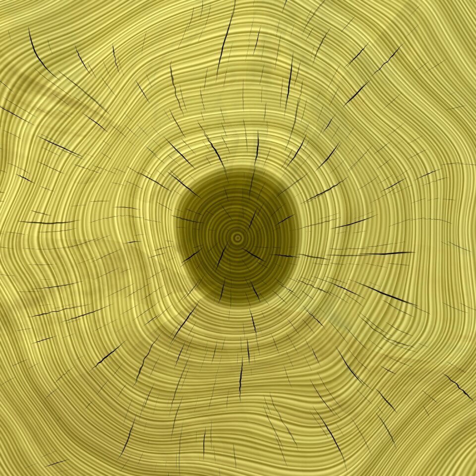 Tree trunk texture
