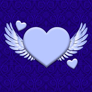 Wings romantic love
