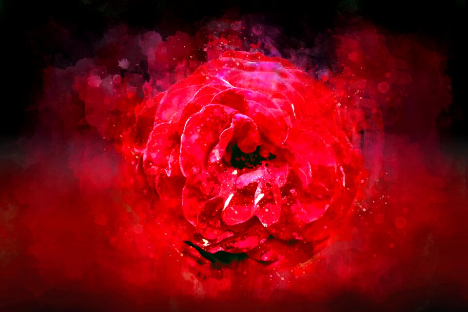 Watercolor decoration dark