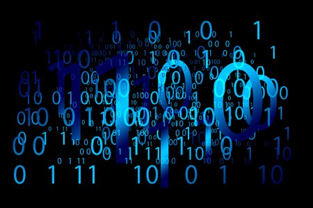 Byte digitization network