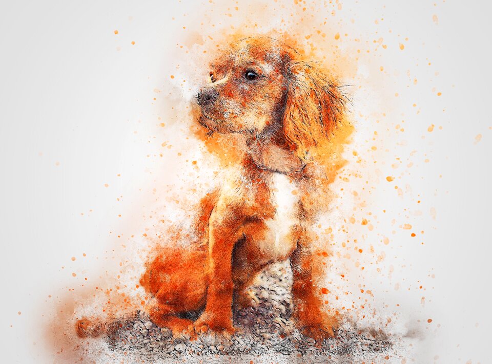 Animal watercolor vintage