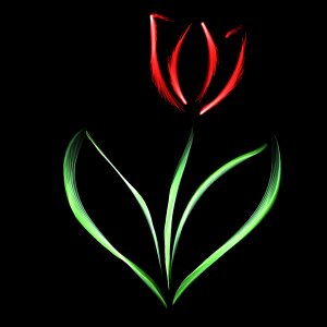 Spring colorful Free illustrations