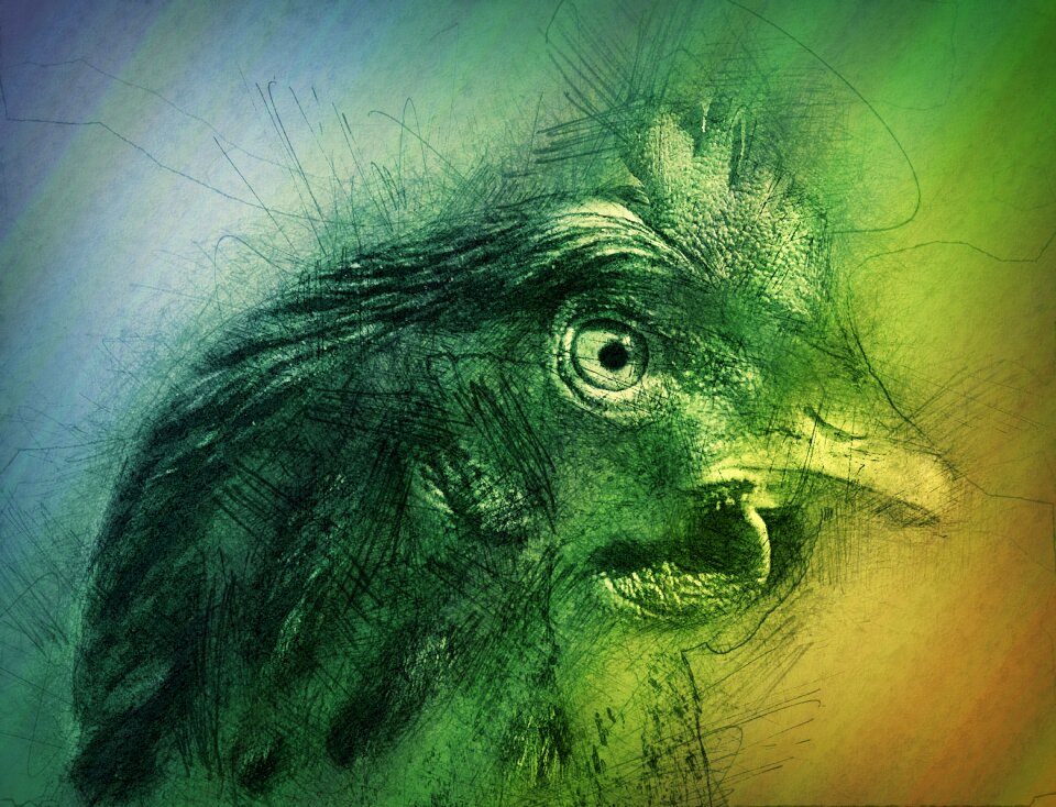 Bird animal bill